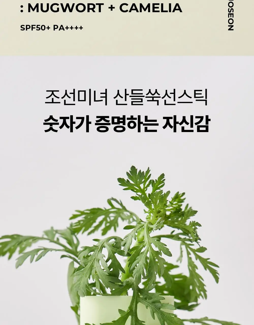 [단독/산뜻보송] 조선미녀 산들쑥 선스틱 18g 2입 기획 상세페이지 4